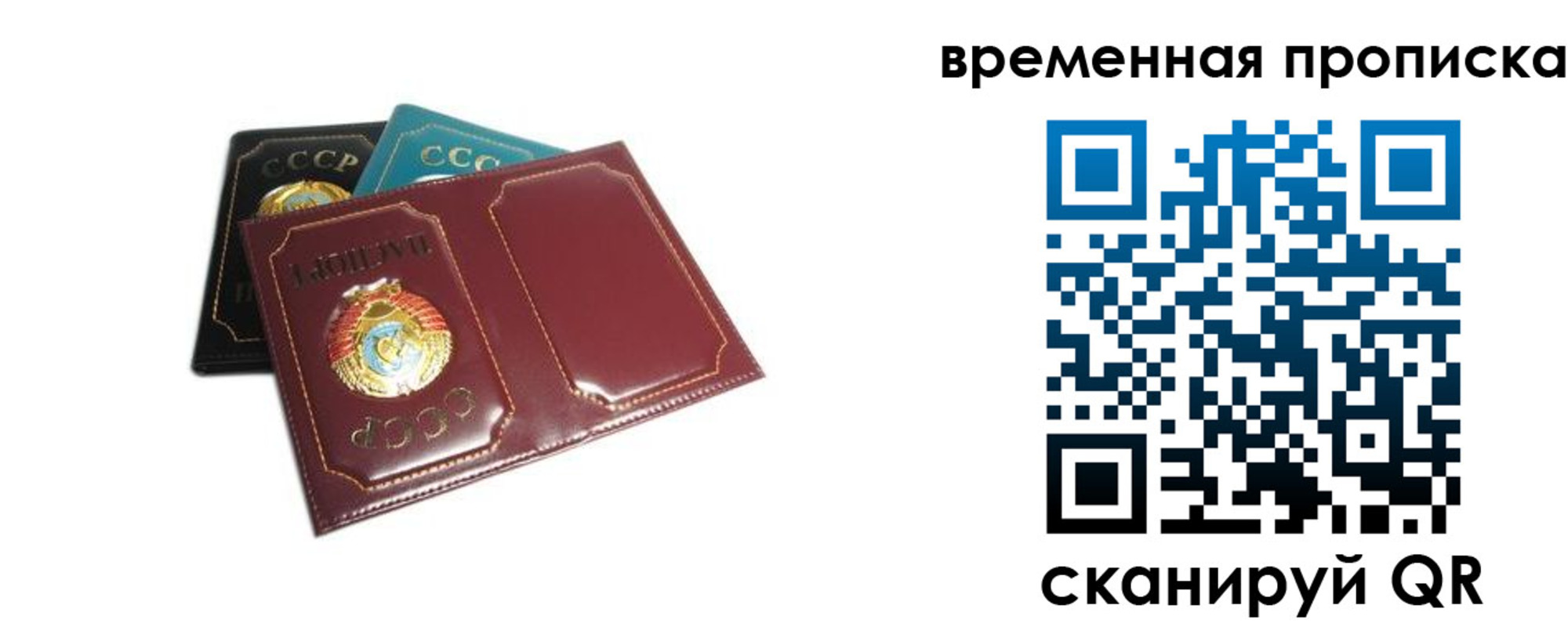 прописка 2025 в Юрьев-Польском